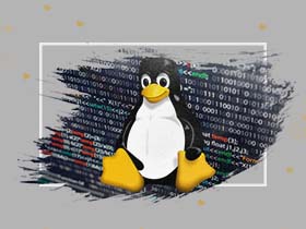 LINUX İşletim Sistemi Yönetimi Geliştirme Ve Uyum Eğitimi